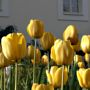 Фото 4 - Auberge de Provence