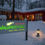 Фото 1 - Restaurant Waldmeisterei