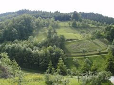 Фото 9 - Bühlbauernhof