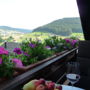 Фото 4 - Schwarzwald-Ferienwohnungen Begert