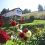 Фото 1 - Holiday Home Talblick Schonbrunn