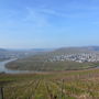 Фото 8 - Holiday Home Kastanienhof Weingut Esseln Kesten