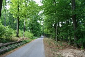 Фото 6 - Holiday Home Fichtenhof Kappel