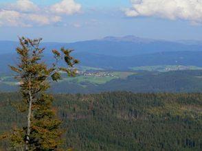 Фото 9 - Waldsiedlung