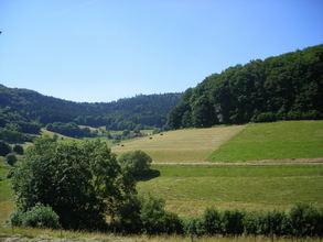 Фото 11 - im Wiesental