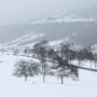 Фото 6 - Landgasthof Alte Post