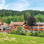 Фото 2 - Hotel Grüner Wald