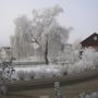 Фото 3 - Gasthaus Zur Waldesruh