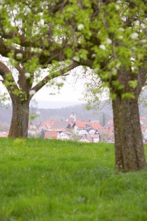 Фото 6 - Gasthof Lamm