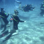 Фото 7 - Oonas Dive Club