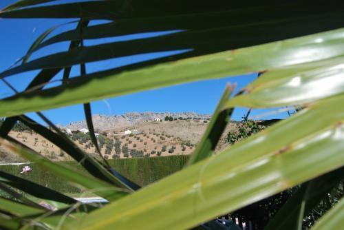 Фото 2 - Casa Rural La Herradura