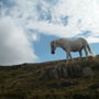 Фото 6 - Casa Pirinea