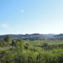 Фото 6 - Caballo Andaluz