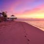 Фото 4 - Castaway Island, Fiji