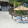Фото 11 - Coral Palms Executive Beachfront Resort