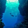 Фото 4 - Mai Dive  Astrolabe Reef Resort