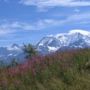 Фото 14 - Le Relais Du Mont Blanc