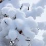 Фото 3 - Chalet des Domaines de la Vanoise