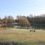 Фото 2 - Domaine du Moulin de l Etang