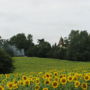 Фото 4 - Holiday Home Moulin De Lartigolle Lias D Armagnac