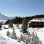 Фото 3 - Le Chalet du Ticou