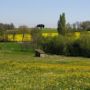 Фото 11 - La Ferme de Menoun