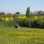 Фото 2 - Gîte la Ferme de Menoun