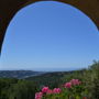 Фото 3 - Vue panoramique près de Vence