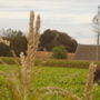 Фото 4 - La Longue Roye - Chambres d hotes