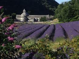 Фото 7 - Gite des Ocres