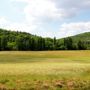 Фото 8 - Villa dans le Perigord entre Sarlat et Cahors II