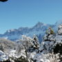 Фото 9 - La Ferme les Violets