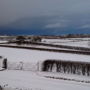 Фото 2 - Ulster Cottages