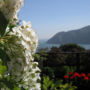 Фото 3 - Chough s Nest Hotel