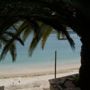 Фото 8 - Plataria Beach