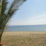 Фото 2 - Afroditi Beach