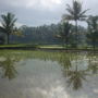 Фото 3 - Puri Darma Agung Villa