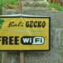 Фото 4 - Bali Gecko Homestay