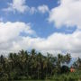 Фото 5 - Bali Wid Villa