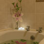 Фото 2 - Killarney Self-Catering - Haven Suites