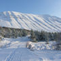 Фото 2 - Holar Cottages and Apartments