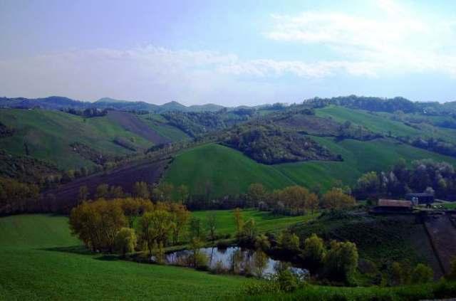 Фото 8 - Agriturismo Il Tondino