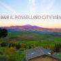 Фото 8 - B&B Il Rossellino City View