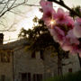 Фото 7 - Villa Degli Ulivi