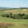 Фото 9 - Holiday Home Diacceroni Due Due Volterra Volterra