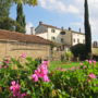 Фото 3 - Agriturismo La Fenice