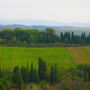 Фото 11 - Holiday Home Chiantina Greve In Chianti