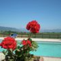 Фото 3 - Holiday Home Robinia Amelia