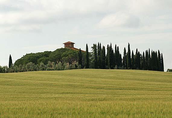 Фото 5 - Fattoria Di Casavecchia