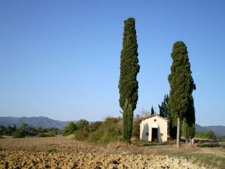 Фото 11 - Azienda Agricola Muccianello